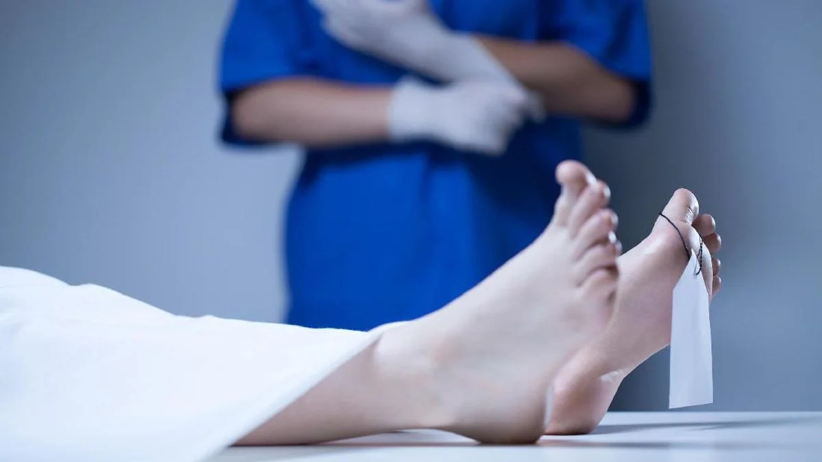 Tes DNA Jasad di Enggano Identik Kru Kapal Rombongan Jurnalis